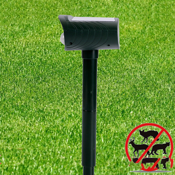 Outdoor animal remover