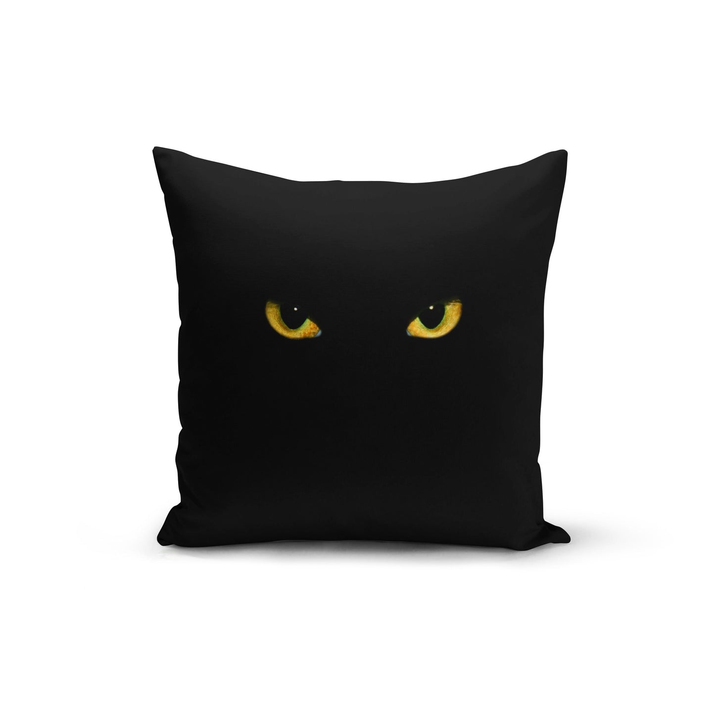 Black Cat Cover